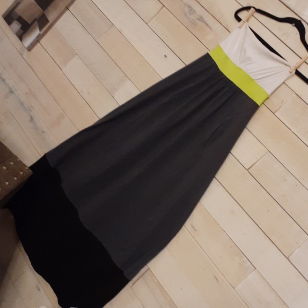 Susana Monaco dress